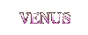 4　VENUS