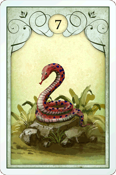 7　蛇