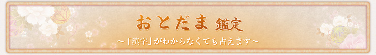 おとだま鑑定 〜「漢字」がわからなくても占えます〜 おとだま鑑定 〜「漢字」がわからなくても占えます〜
