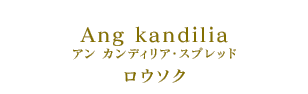 Ang kandilia アン カンディリア・スプレッド ロウソク