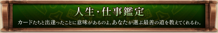 人生・仕事鑑定 カードたちと出逢ったことに意味があるのよ。あなたが選ぶ最善の道を教えてくれるわ。
